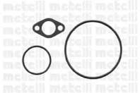 metelli 240320