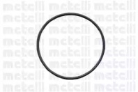 metelli 240424