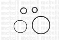 metelli 240608