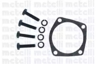 metelli 240623