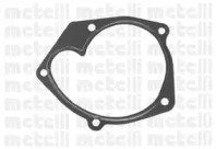 metelli 240821
