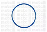 metelli 240919