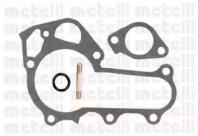 metelli 240921