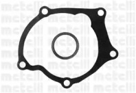 metelli 240922