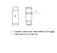 METELLI 012521