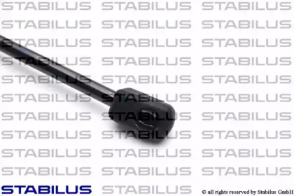 stabilus 248594