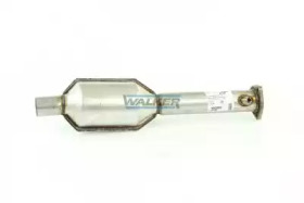 walker 20190