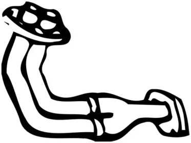 FONOS 08800