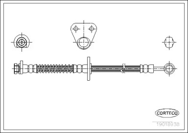 CORTECO 19018938