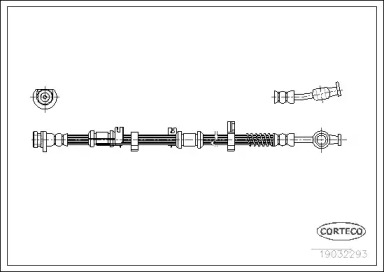 CORTECO 19032293