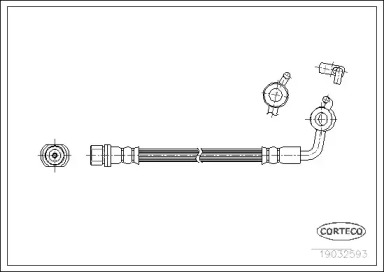 CORTECO 19032593