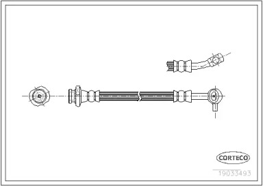 CORTECO 19033493