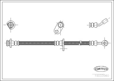 CORTECO 19033560