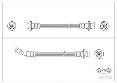 CORTECO 19035729