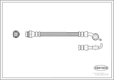CORTECO 19036194