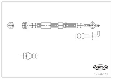 CORTECO 19036441