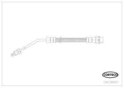 CORTECO 19036601