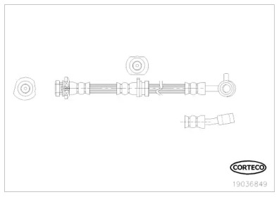 CORTECO 19036849