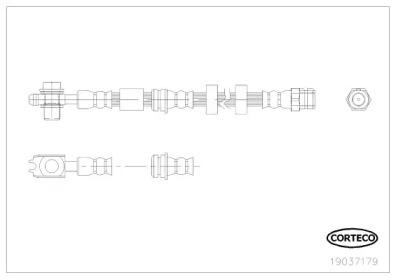 CORTECO 19037179