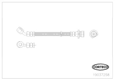 CORTECO 19037258
