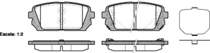 REMSA 1303.02