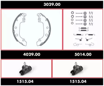 REMSA 3029.00