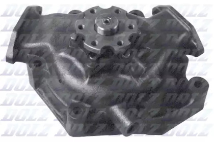 DOLZ M615
