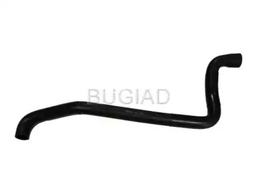 BUGIAD BSP24351