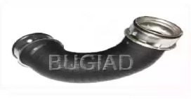 bugiad 81603