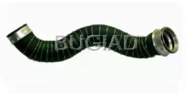 bugiad 81613