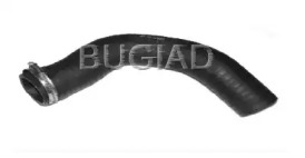 bugiad 81640