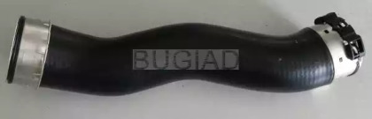 bugiad 84624