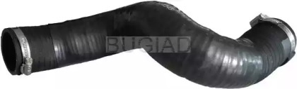 bugiad 86646