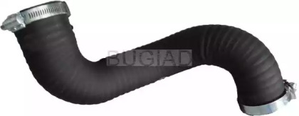 bugiad 88604