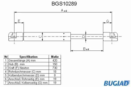 BUGIAD BGS10289