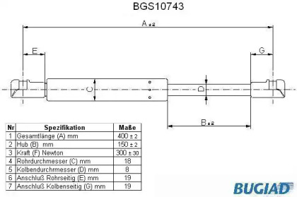 BUGIAD BGS10743