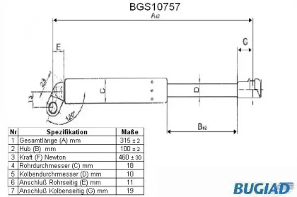 BUGIAD BGS10757