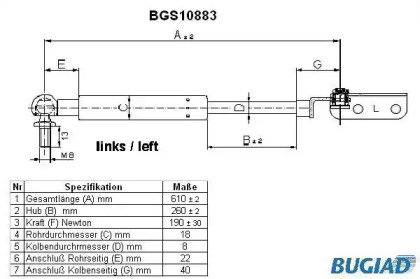 BUGIAD BGS10883