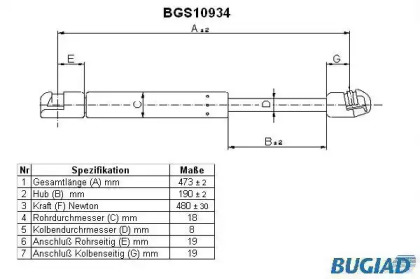 BUGIAD BGS10934