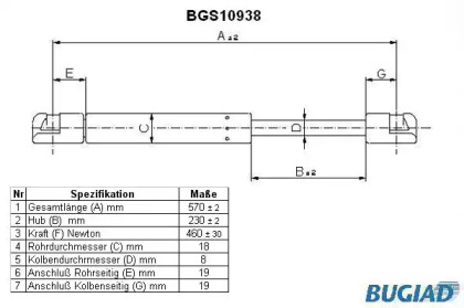 BUGIAD BGS10938