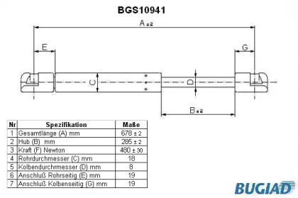 BUGIAD BGS10941