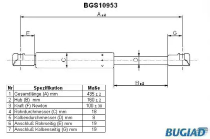 BUGIAD BGS10953