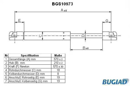 BUGIAD BGS10973