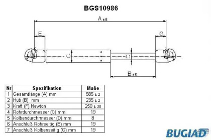 BUGIAD BGS10986