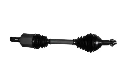 BUGIAD BSP24367