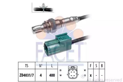 FACET 10.8007