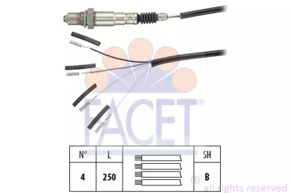 FACET 10.8240