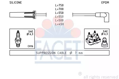 FACET 4.9343