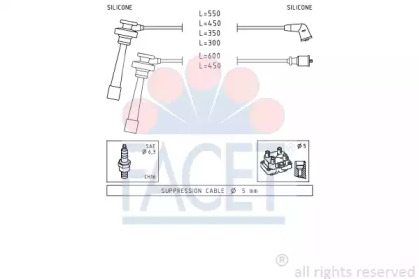 FACET 4.9344