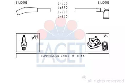 FACET 49568